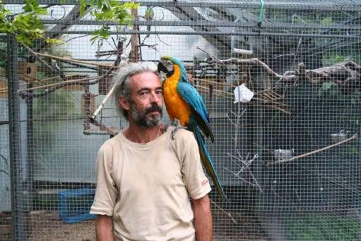 L'uomo che salva pappagalli «randagi» - Rovereto