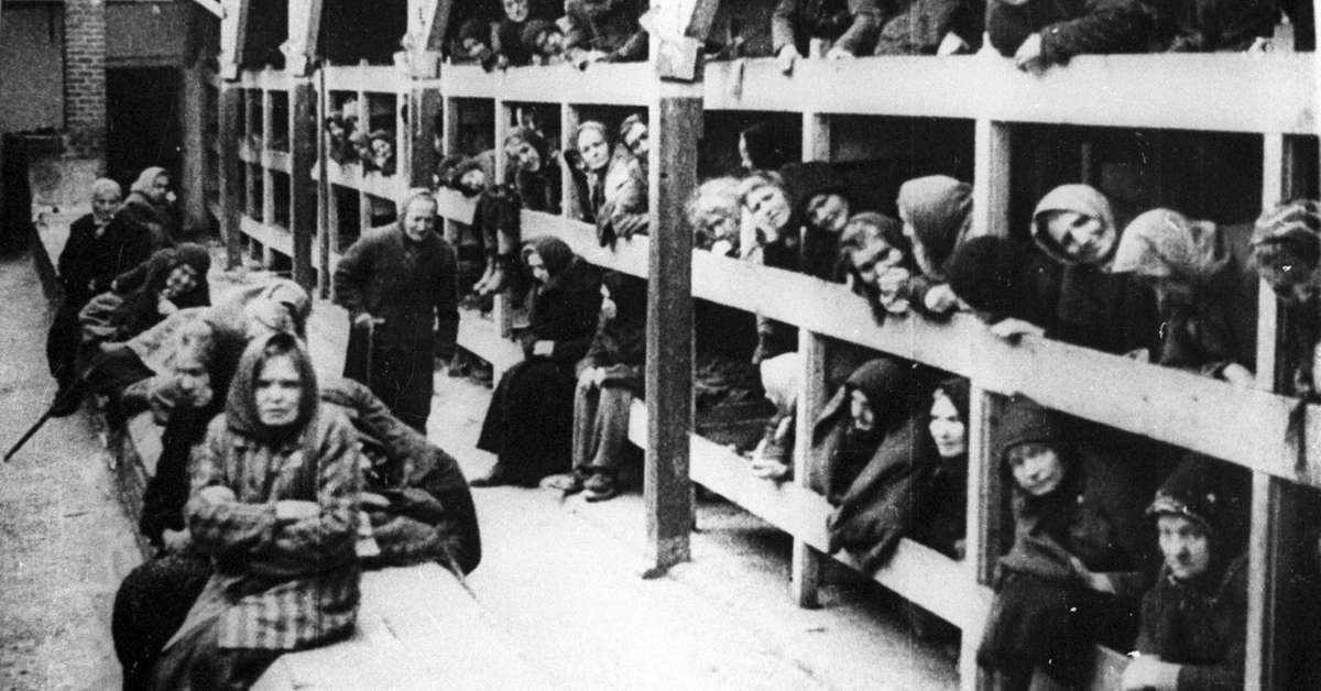 Lo storico Biasiori: «Ricordare l'Olocausto è fondamentale ma non basta  Bisogna capirlo perché non si ripeta» - Cultura e Spettacoli | l'Adige.it